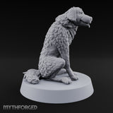 Who's a Good Farmhand Dog Companion A