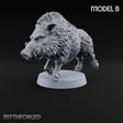 Running Wild Feral Beast and Elf Beastamer B Miniature for Dungeons and Dragons, Pathfinder or other TTRPGs