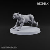 Running Wild Feral Beast and Elf Beastamer C Miniature for Dungeons and Dragons, Pathfinder or other TTRPGs