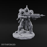 Chain Skirts Ogre Armoured Gunner B — FX