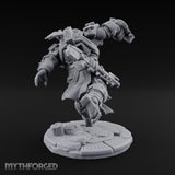 Chain Skirts Ogre Armoured Gunner C — FX