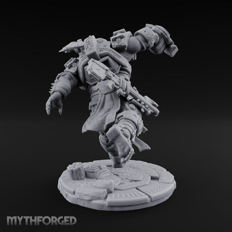 Chain Skirts Ogre Armoured Gunner C — FX