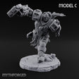 Chain Skirts Ogre Armoured Gunner C — FX