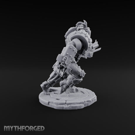Chain Skirts Ogre Armoured Gunner D