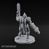 Chain Skirts Ogre Armoured Gunner E