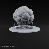A Tick Away From Bursting Giant Tick with Bloated Lumpy Abdomen