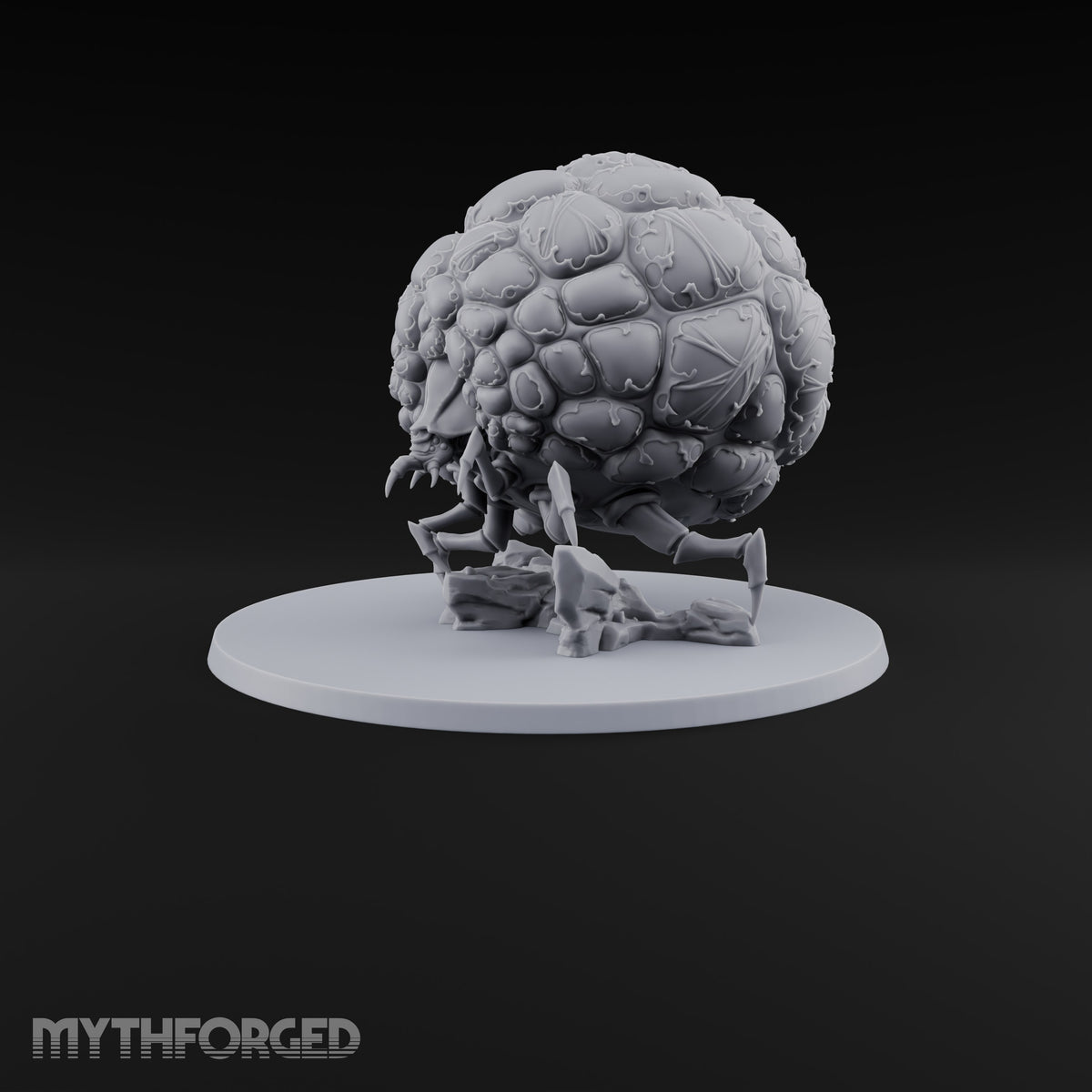 A Tick Away From Bursting Giant Tick with Bloated Lumpy Abdomen