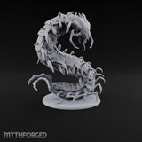 Legs for Days Giant Centipede with Raised S-Curved Body