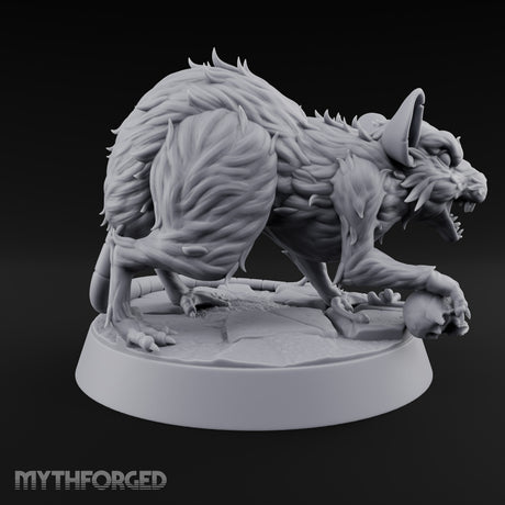 Fur Bristling Giant Rat A
