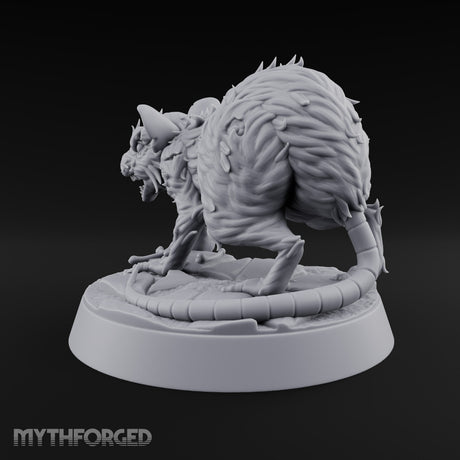 Fur Bristling Giant Rat A