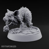 Fur Bristling Giant Rat A