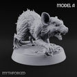 Fur Bristling Giant Rat A