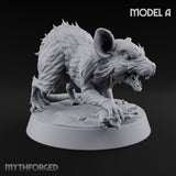 Fur Bristling Giant Rat A