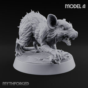 Fur Bristling Giant Rat A