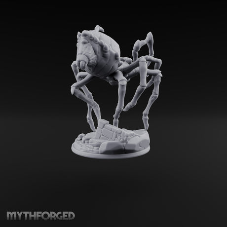 Spider Wasn't Consulted Goblin Chief and Giant Spider A