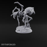 Spider Wasn't Consulted Goblin Chief and Giant Spider A