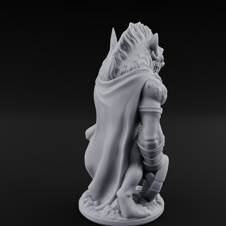 Shield Dragging Gnoll Warriors Miniature for Dungeons and Dragons, Pathfinder or other TTRPGs