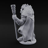 Shield Dragging Gnoll Warrior B Miniature for Dungeons and Dragons, Pathfinder or other TTRPGs