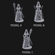 Warmly Welcoming Human Priestesses Miniature for Dungeons and Dragons, Pathfinder or other TTRPGs