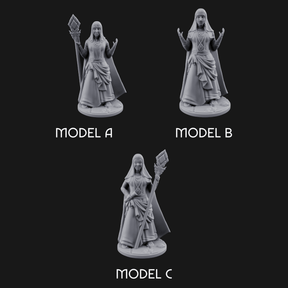 Warmly Welcoming Human Priestesses Miniature for Dungeons and Dragons, Pathfinder or other TTRPGs