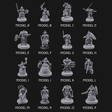 The Unseeing Holy Paladin Order Miniature for Dungeons and Dragons, Pathfinder or other TTRPGs