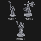 Holier Than Thou Human Priests Miniature for Dungeons and Dragons, Pathfinder or other TTRPGs