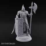 Halberd Hoisting Shield Bearing Human Knight gallery 1