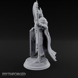 Halberd Hoisting Shield Bearing Human Knight gallery 14