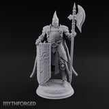Halberd Hoisting Shield Bearing Human Knight gallery 18