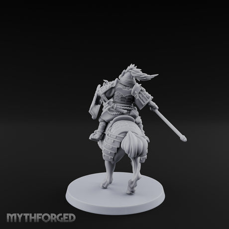Hard Charging Nomad Cavalry A gallery 6