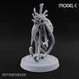 Beak First, Tendrils Trailing Grell Drone C