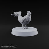 Pecking Order Barnyard Chicken B — A