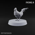 Pecking Order Barnyard Chicken B — A