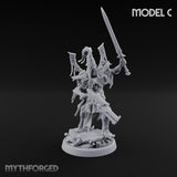 Nobility Rides Out Armed Eladrin Lancer C