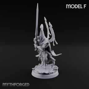 Nobility Rides Out Armed Eladrin Lancer F