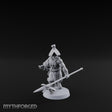Horde Advancing Nomad Spearman D