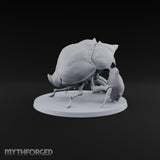 Horn Down, Shell Wide Giant Fire Beetle with Rhinoceros Horn and Open Wing Cases — B