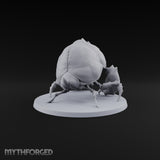 Horn Down, Shell Wide Giant Fire Beetle with Rhinoceros Horn and Open Wing Cases — B