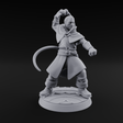 Whip Cracking Hound Master Miniature for Dungeons and Dragons, Pathfinder or other TTRPGs
