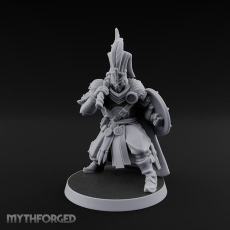 Standing to Arms Human Janissary C Miniature for Dungeons and Dragons, Pathfinder or other TTRPGs