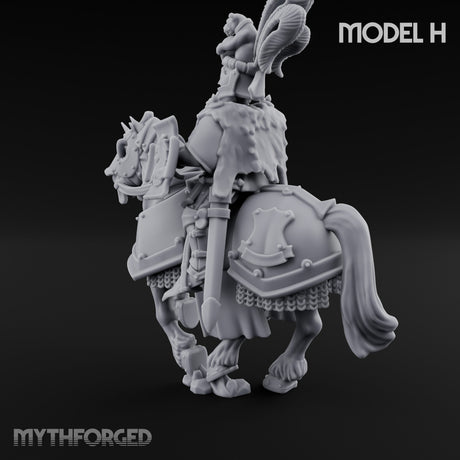 Lance And Sword Charging Human Knight on Horseback H Miniature for Dungeons and Dragons, Pathfinder or other TTRPGs