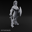 Shield And Blade Ready Human Warrior Miniature for Dungeons and Dragons, Pathfinder or other TTRPGs