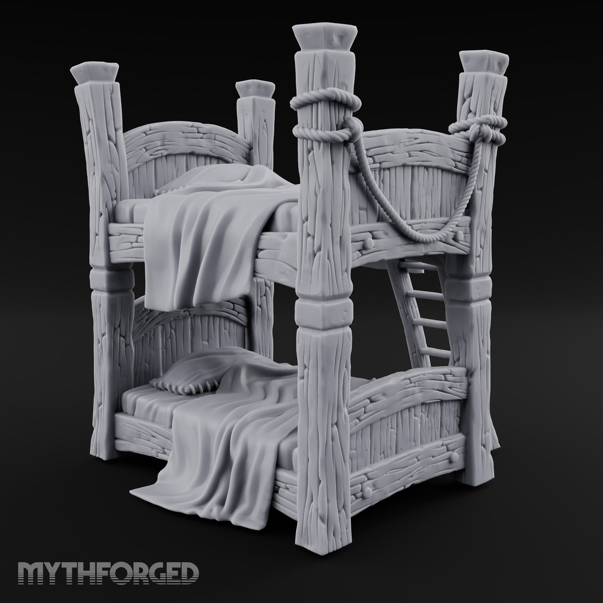 Top Bunk Is Taken Wooden Bunk Bed with Ladder