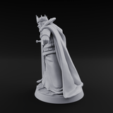 Off With His Head Human King Miniature for Dungeons and Dragons, Pathfinder or other TTRPGs