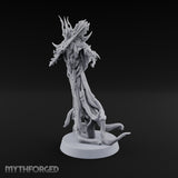 Hem Dragging Like Roots Wraith Flail Warrior B