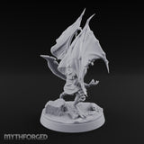 One Grounded, One Gliding Dragonborn Warriors — B