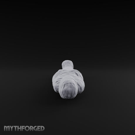 Wrapped for Eternity Mummy Tomb Prop A
