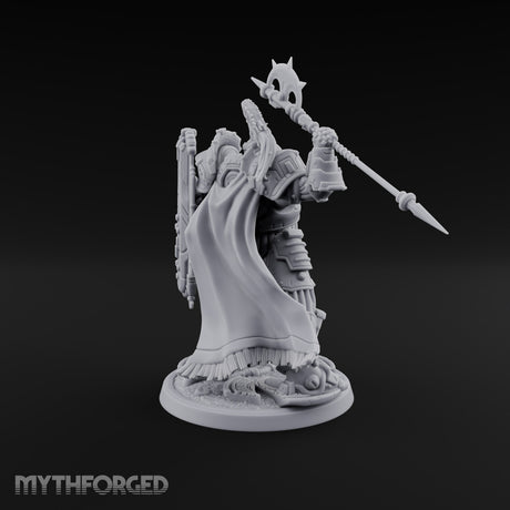 Holding the Line Myrmidon Shieldbearer H Miniature for Dungeons and Dragons, Pathfinder or other TTRPGs