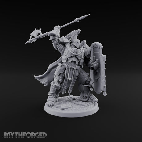 Holding the Line Myrmidon Shieldbearer J Miniature for Dungeons and Dragons, Pathfinder or other TTRPGs