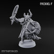 Shields Locked, Horns Lowered Human Huscarl Warrior F